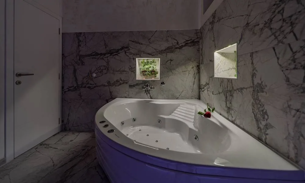 Lisa spa — apartman sa jacuzzijem, Zemun, Beograd (slika 2 od 16)